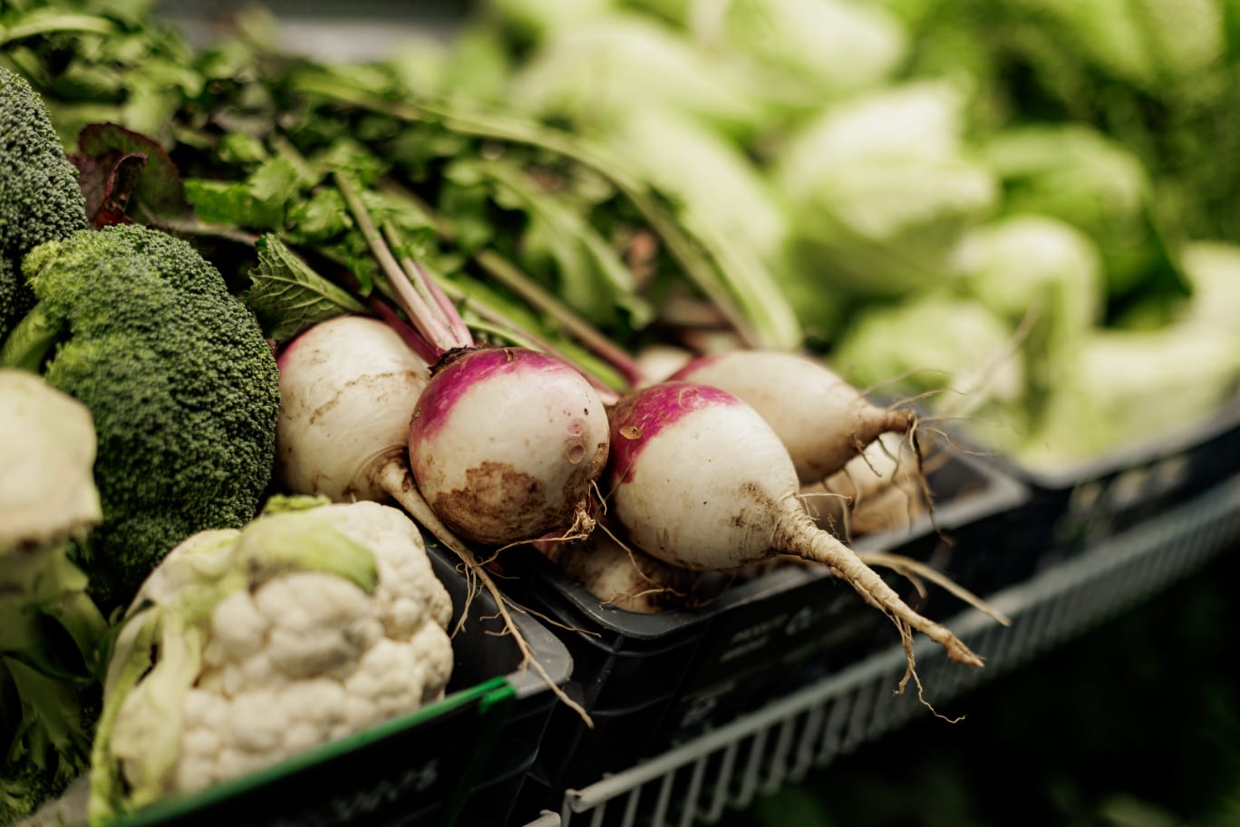 Campo de agricultura biológica